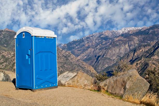 Best Sanitation services for porta potties  in Hortonville, WI